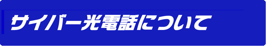 サイバー光電話のサービスについて