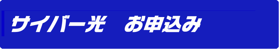 サイバー光お申込み