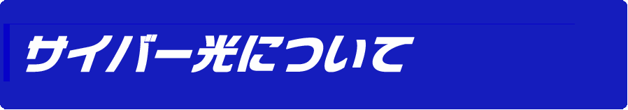 NTT東日本のサイバー光サービス